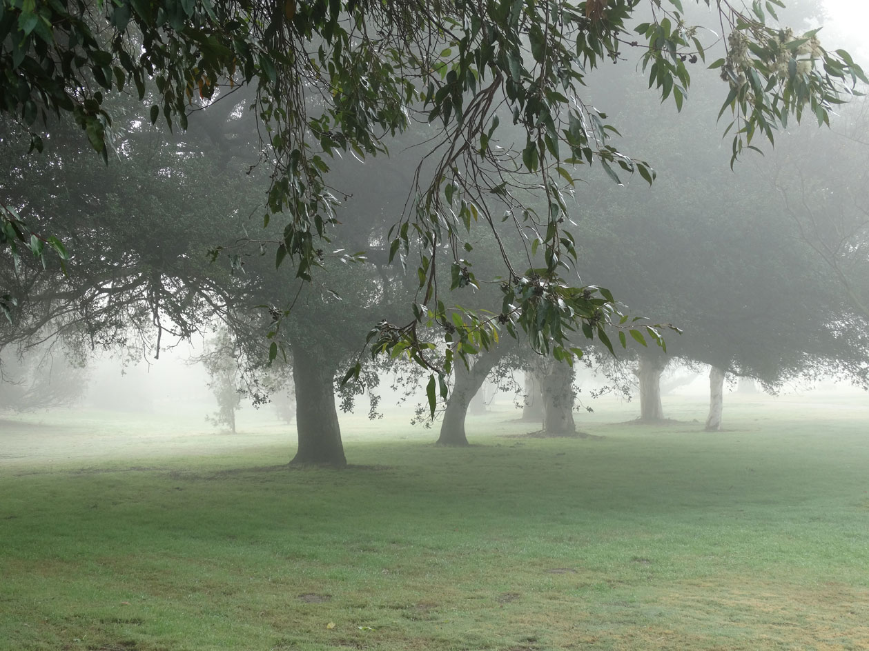 Spring turns to summer: time to explore and enjoy Griffith Park’s natural and human heritage