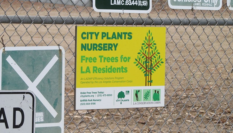 COMMONWEALTH-NURSERY