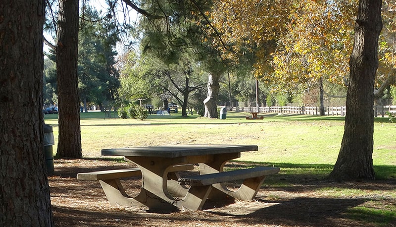 picnic-areas