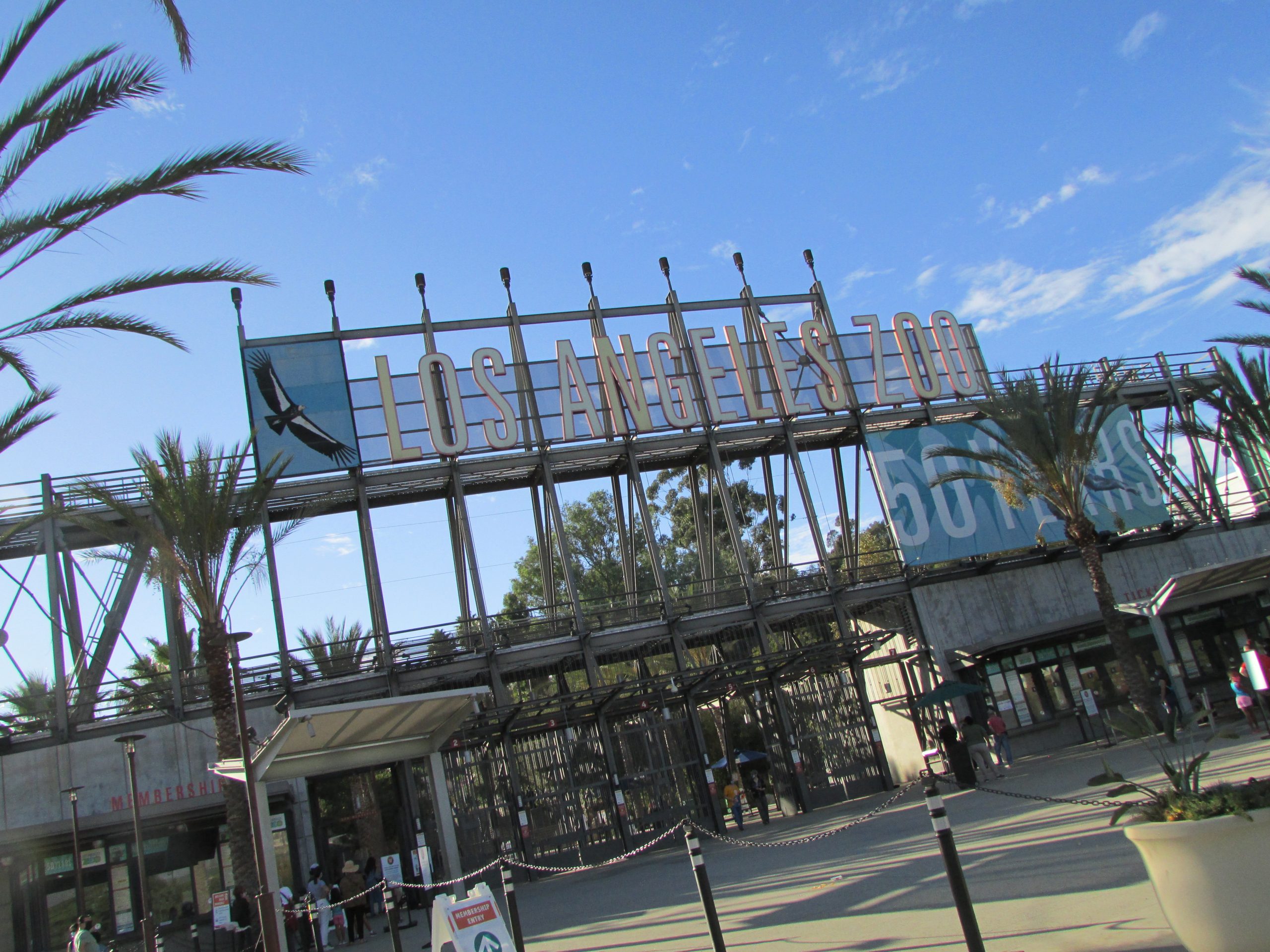 Currently Under Discussion: Zoo Expansion in Griffith Park