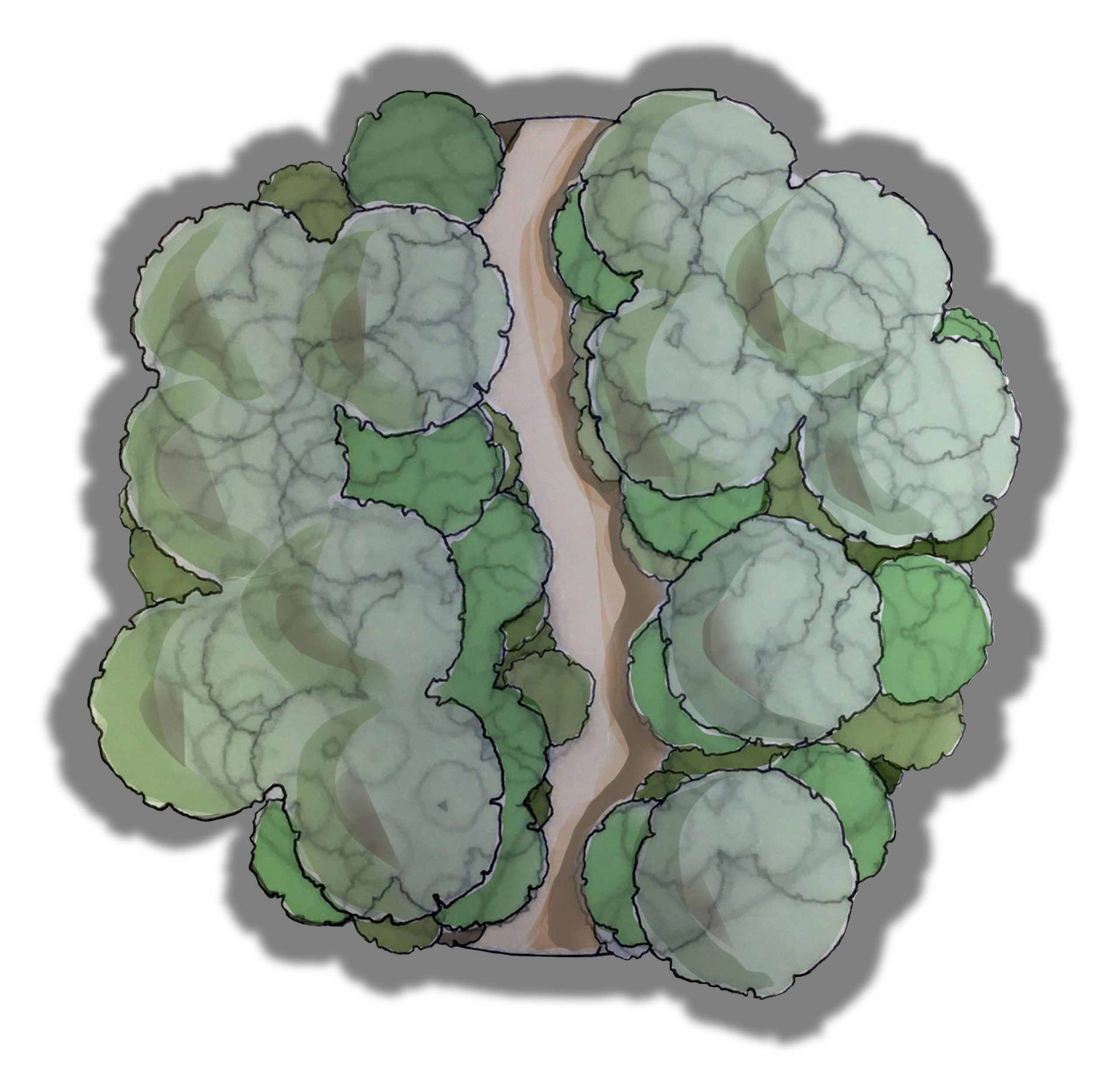 A Micro-forest for Griffith Park