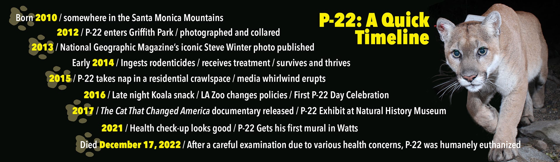 P-22-Timeline