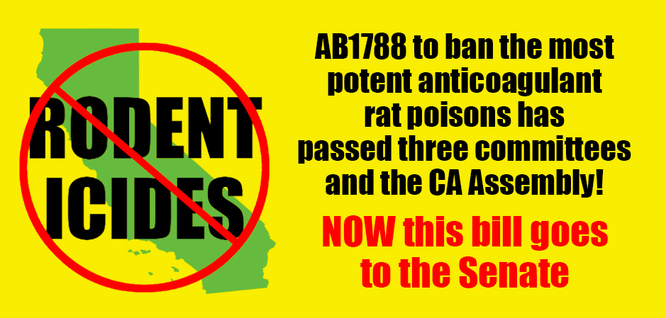 AB 1788 Information UPDATE