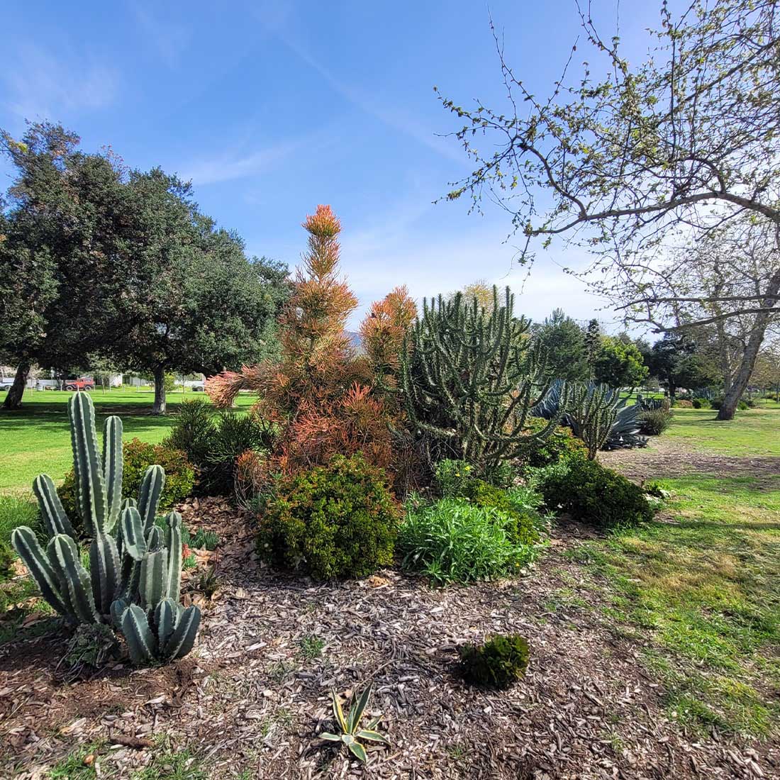 1M-Non-native-Garden