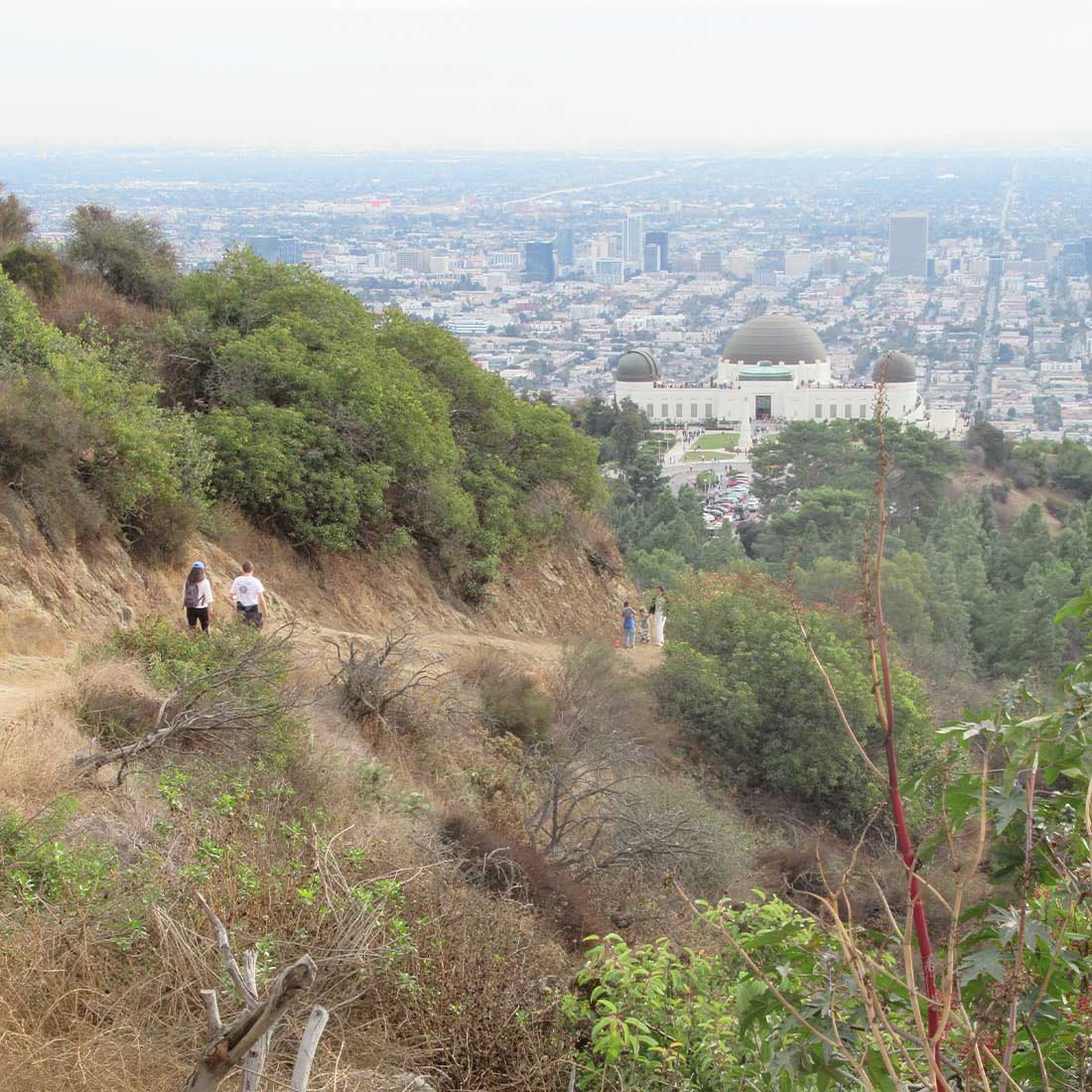 10L-Bird-Sanctuary-Trail