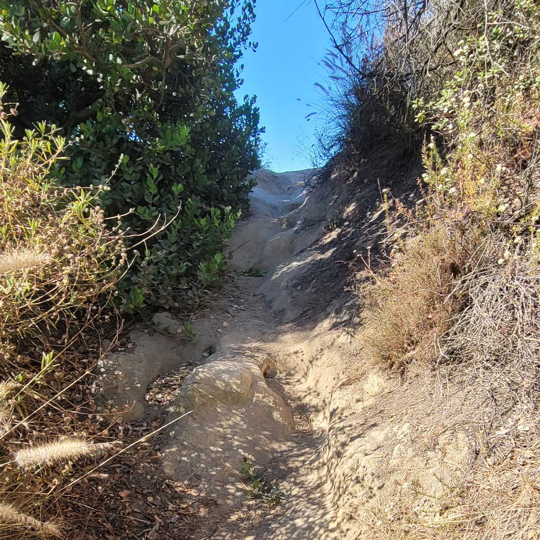 10R-Single-Track-to-LA-Basin-View