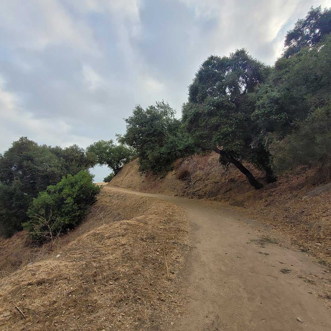 11A-Lower-Beacon-Trail