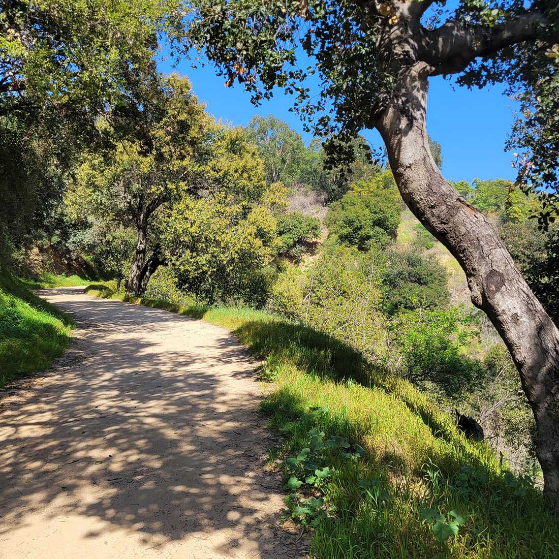 11I-Cadman-to-5-Points