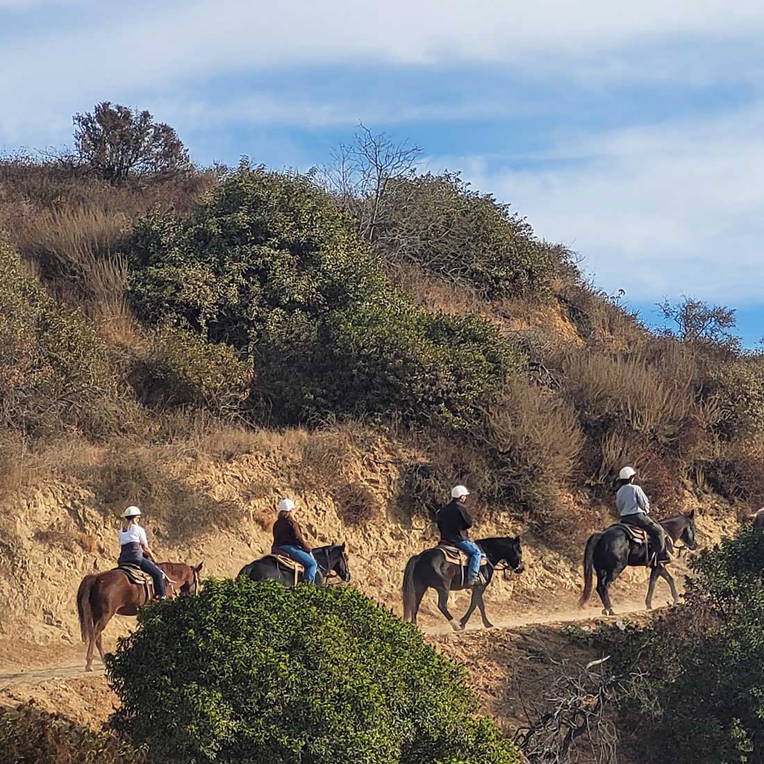 12F-Horseback-Tour