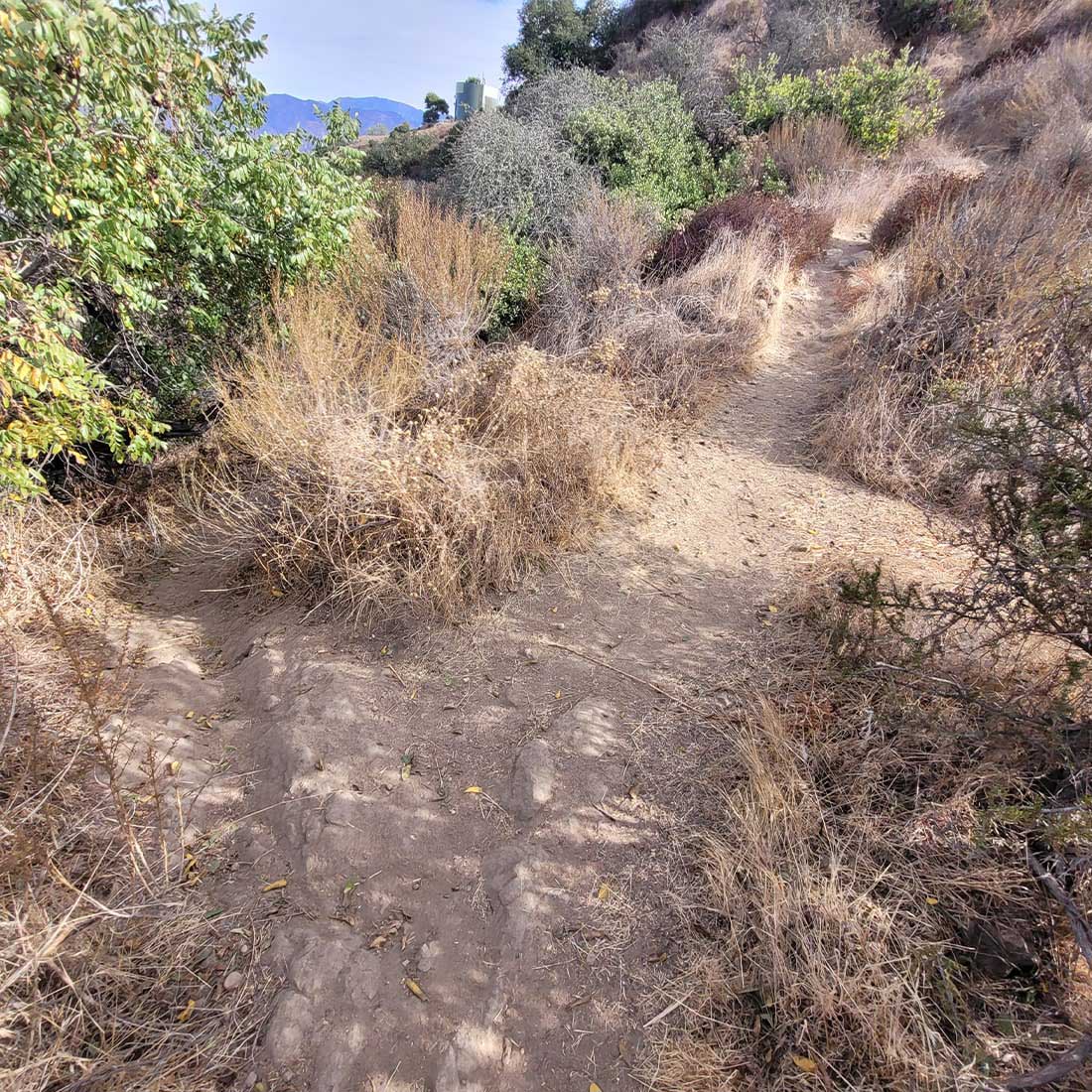 12N-Junction-to-Turn-Left