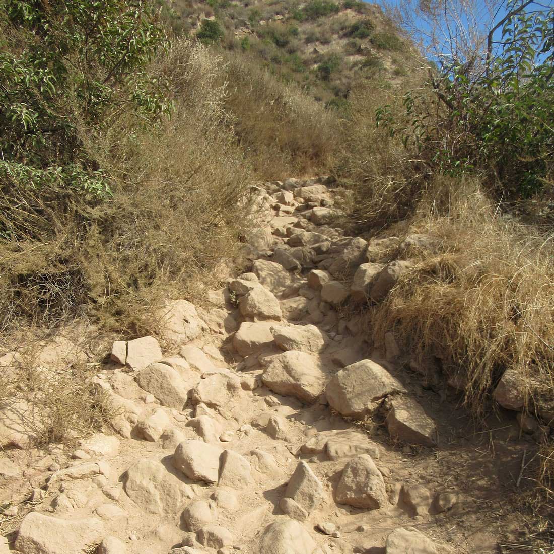 13D-Burbank-Peak-Trail