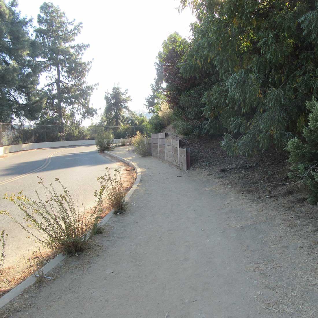 13W-Montlake-Dr-Walking-Trail