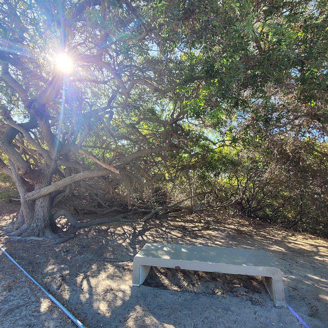 14D-Bench-at-Vista-del-Valle