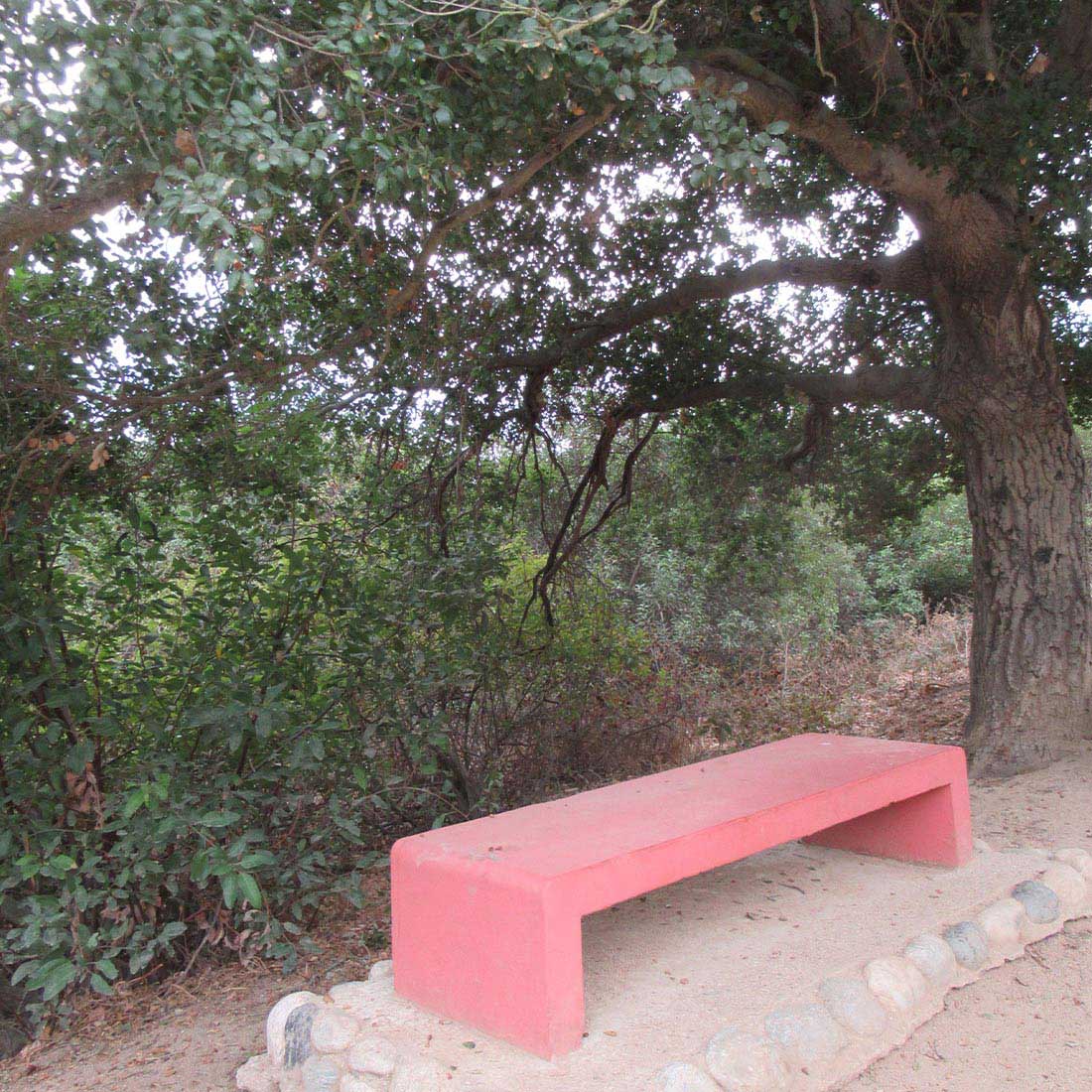 15C-Shaded-Bench