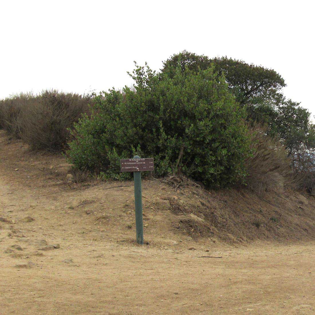 15Q-Left-at-Junction