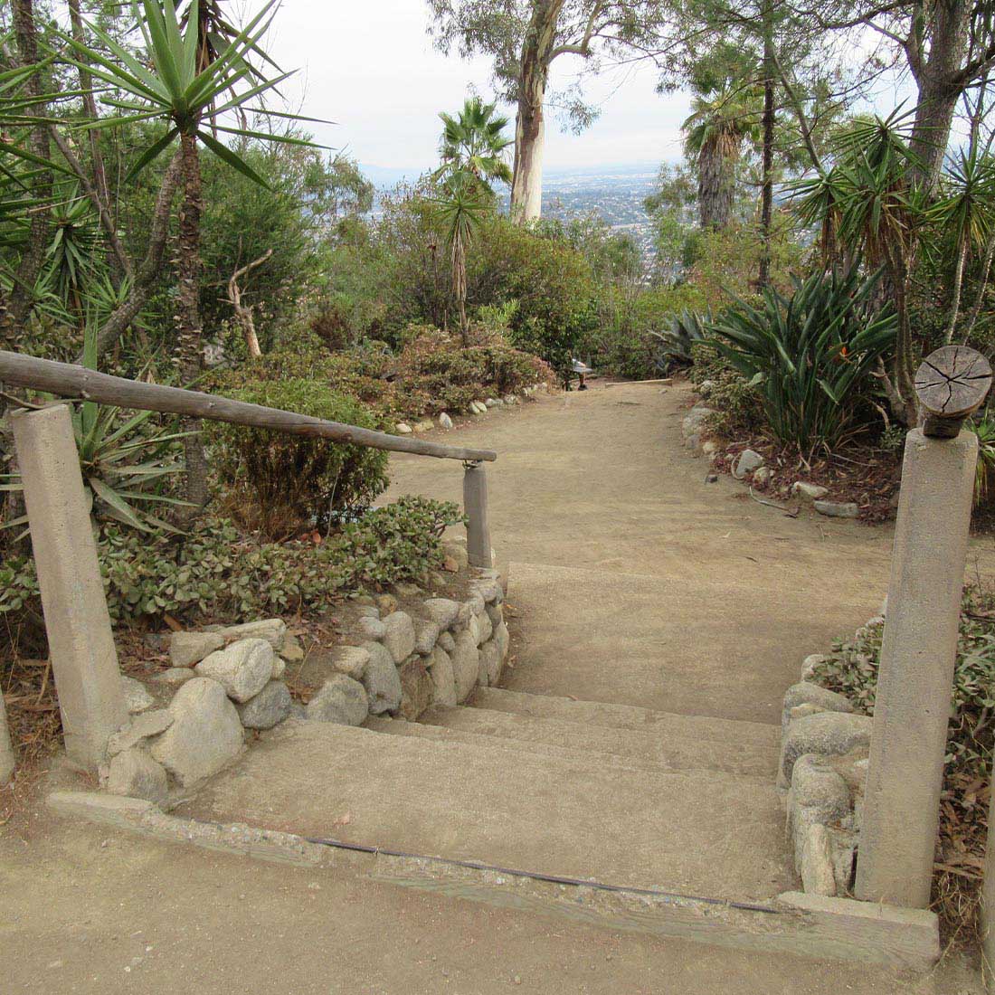 15U-ALT-Garden-at-Dantes-View