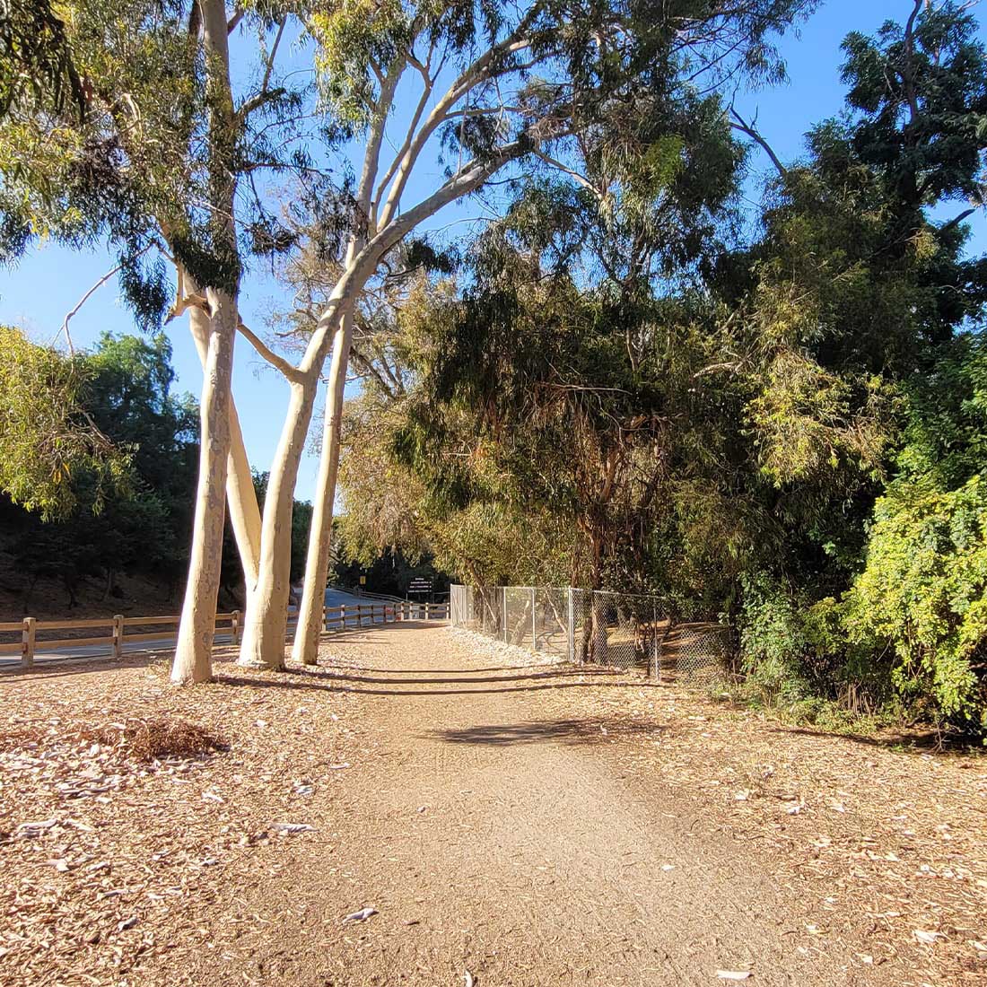 3A-Wide-dirt-Main-Trail