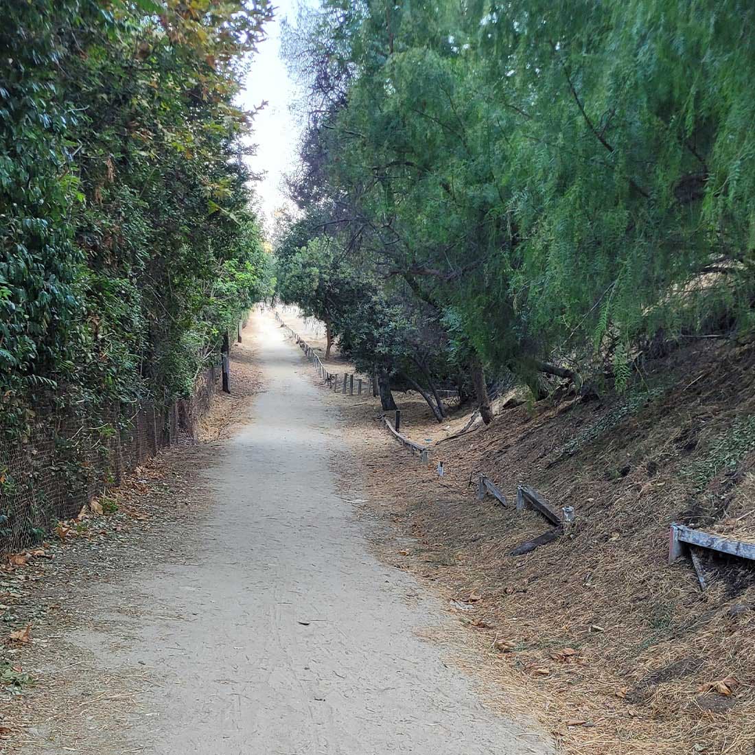 3X-Main-Trail-Return