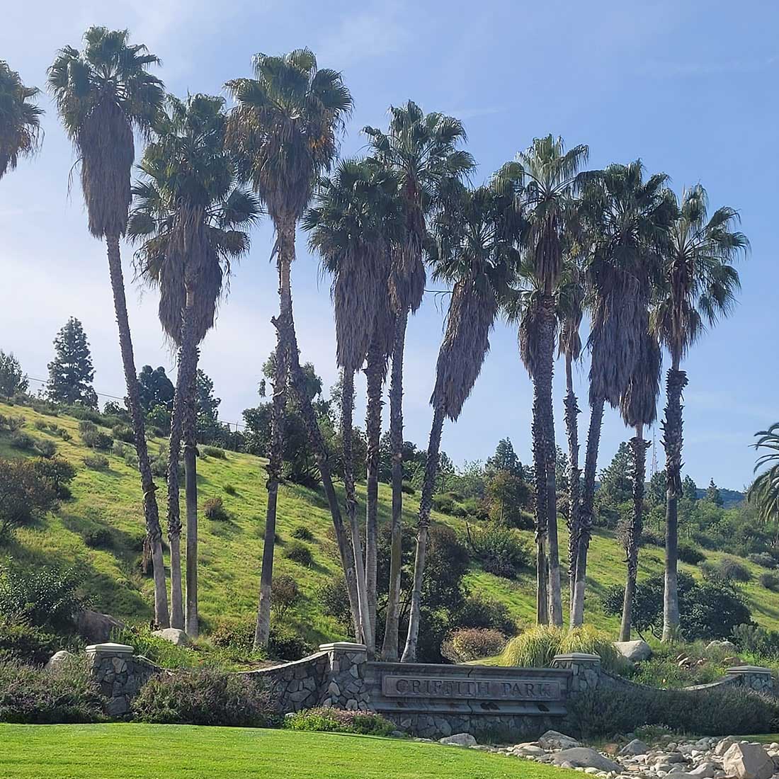 5D-North-Entrance-to-GP