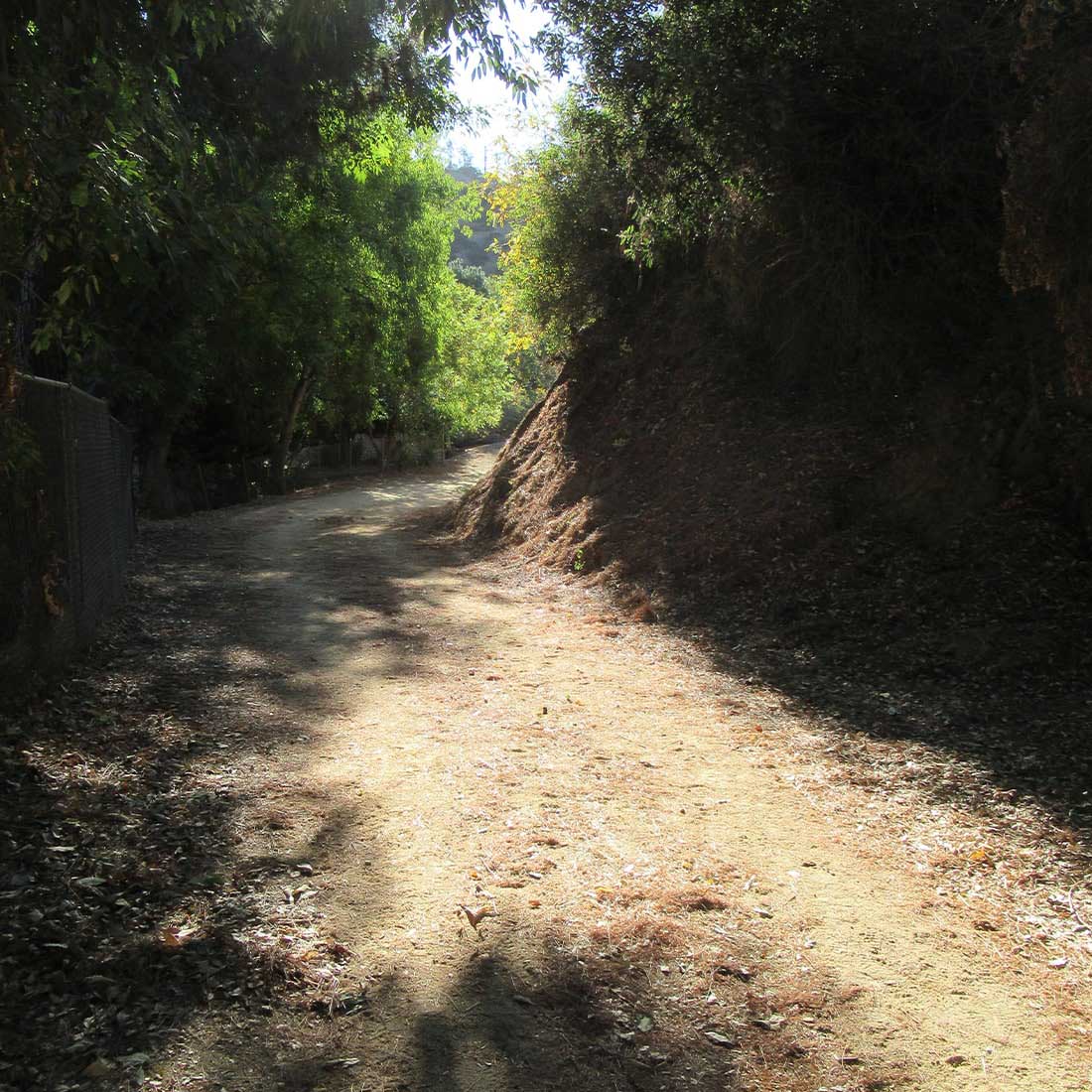 5G-Rattlesnake-Trail