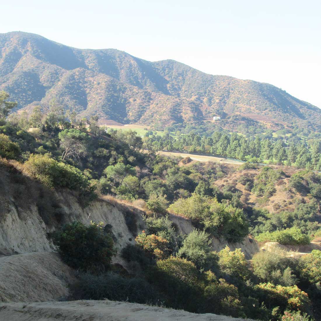 5N-View-from-Skyline