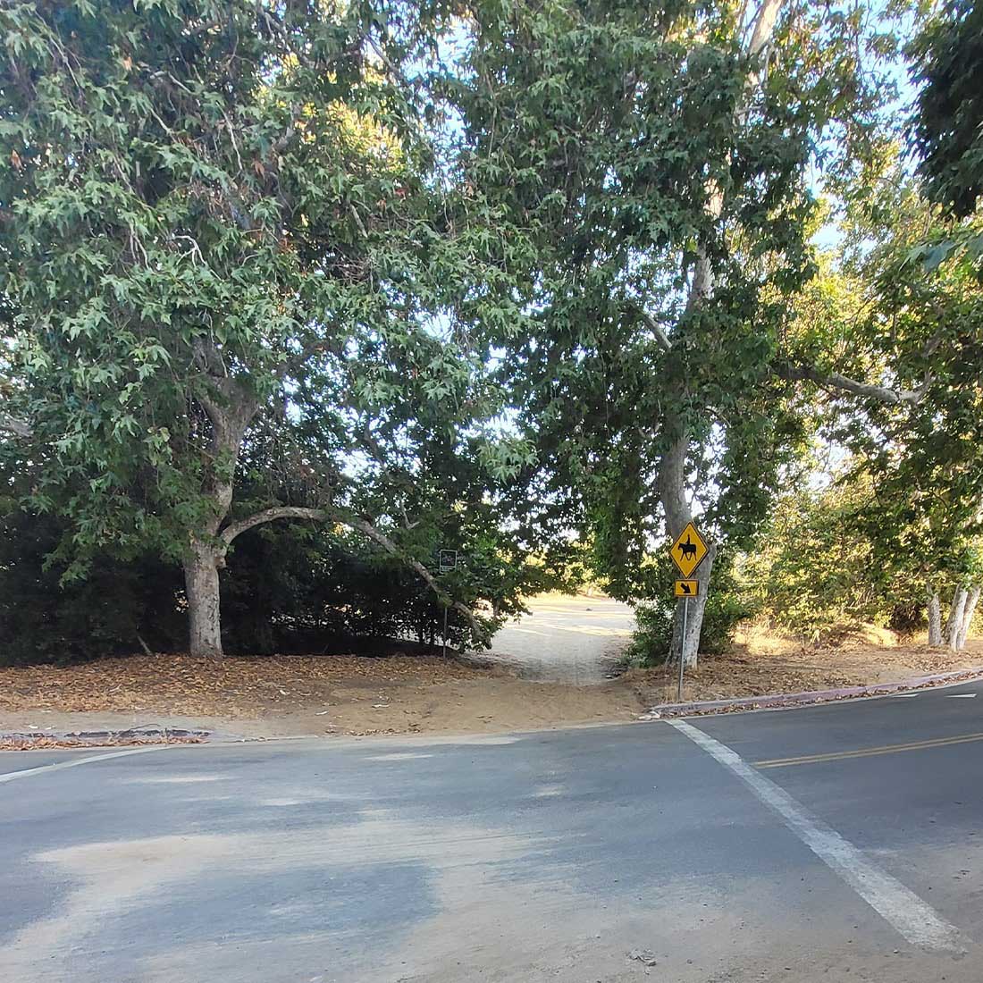 5O-Griffith-Park-Drive