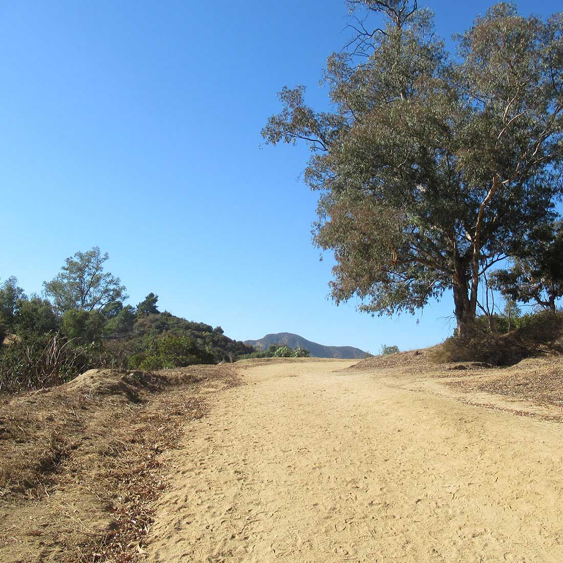 5S-Rattlesnake-Uphill