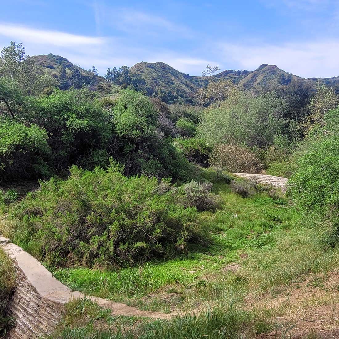 6B-Concrete-check-dams