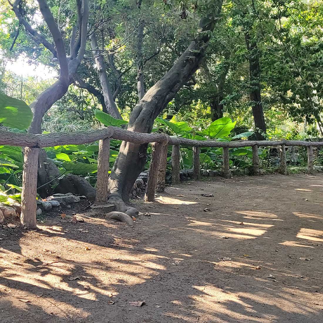 6S-Fern-Dell-Nature-Trail