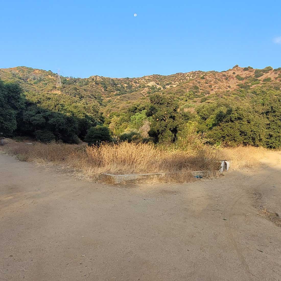 7A-Toward-Fern-Canyon