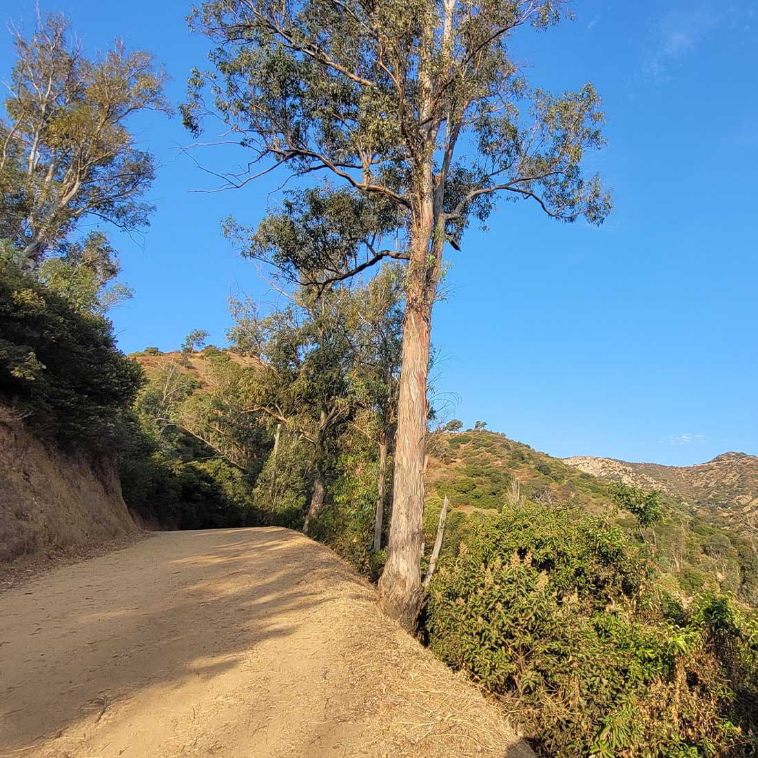 7B-Upper-Old-Zoo-Trail