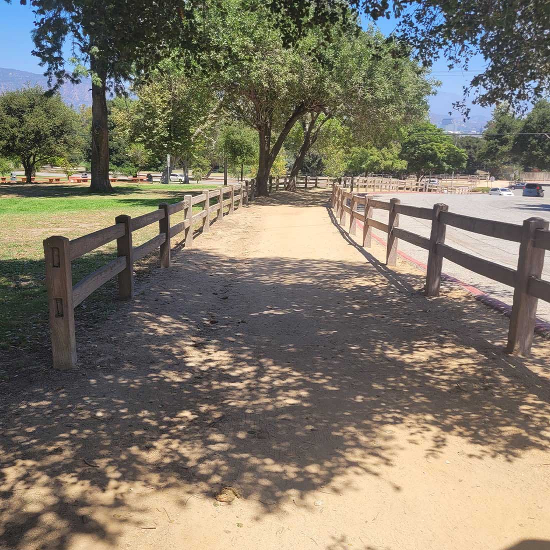 8Z-Bridle-Path-Return