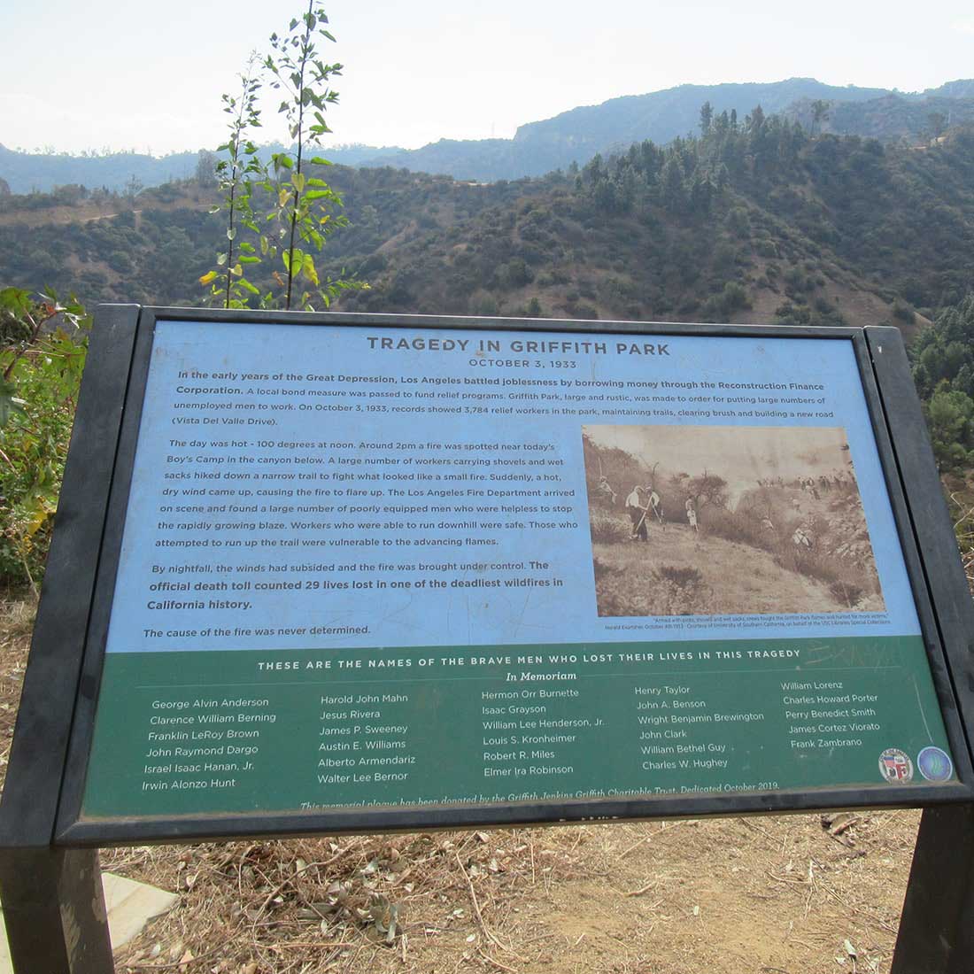 9D-Tragedy-in-Griffith-Park