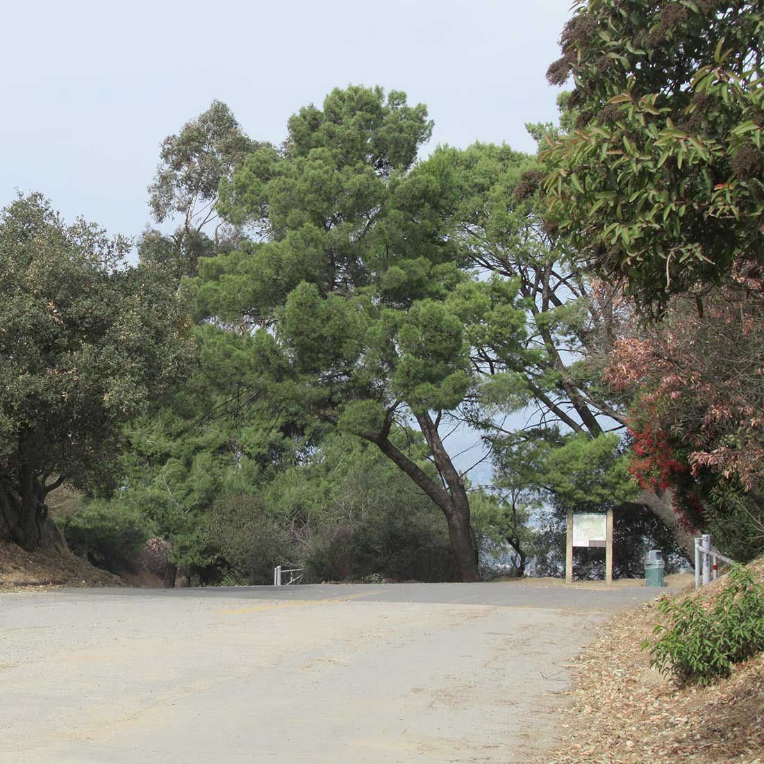 9J-Toward-Mt-Hollywood-Dr