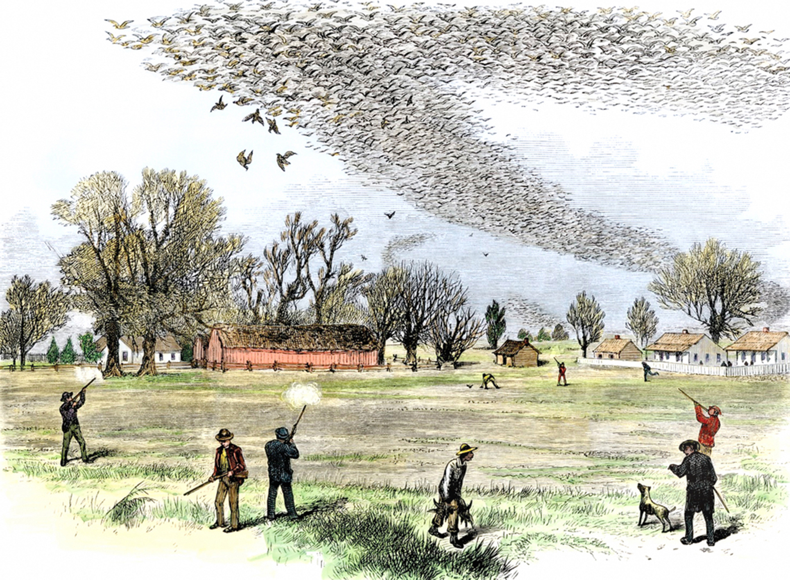 Who Owns Wildlife? Law and the Birth of the Preservation Movement