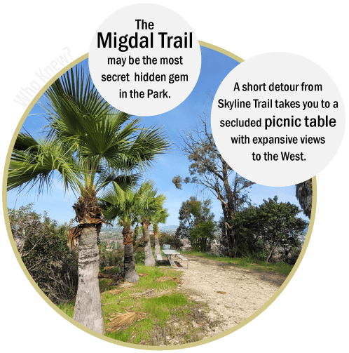 Griffith Park Explorer: Migdal Trail